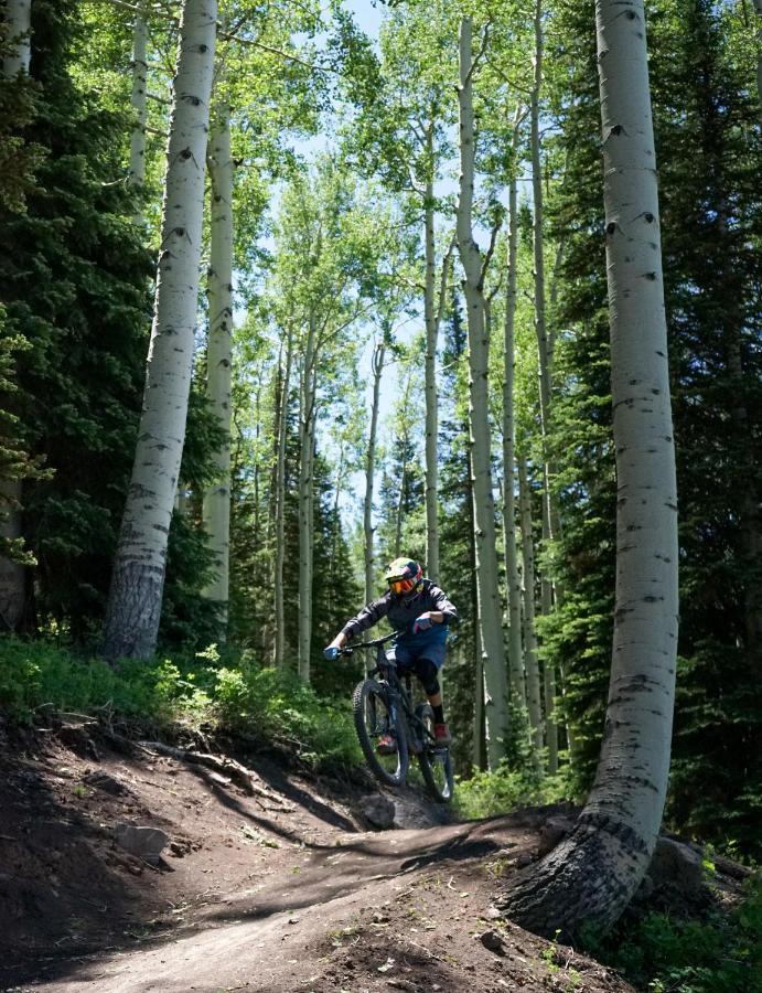 Tiny Homes At Powderhorn Mountain Resort メサ エクステリア 写真